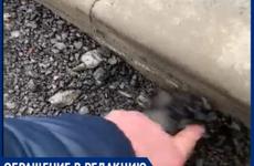 Качество нового асфальта на Мирной в Таганроге разочаровало местных жителей