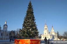 Уборка ёлок с городских площадей откладывается
