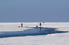 На Сахалине спасли рыбаков, которых унесло на льдине в Охотское море