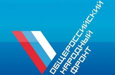 Няни для медиков – новый проект ОНФ