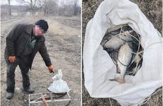 До двух лет тюрьмы за незаконную рыбалку грозит 36-летнему жителю Цимлянска