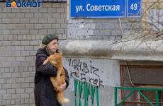 В Волгоградской области коронавирус обнаружили еще у 258 человек
