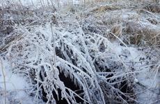В Приморье раненые туристы ночевали в палатке в лютый мороз
