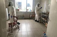 В Ростовской области за сутки выявили 393 новых случая COVID-19