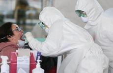 На Ставрополье за сутки коронавирусом заболел 241 житель региона