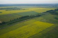Поздравление Губернатора Иркутской области с Днем работников сельского хозяйства и перерабатывающей промышленности