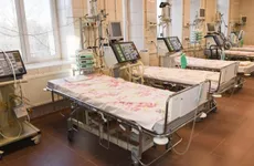 В Ленобласти выявили 275 новых зараженных коронавирусом на 11 октября