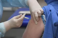 Ленобласть получила больше 600 тысяч доз вакцины от гриппа