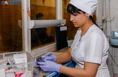 Медикам будут платить за каждого вакцинированного жителя в Волгоградской области