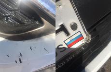 Рваные раны и синяки: ребенка едва спасли после нападения собак в Волжском