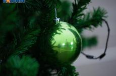 Почти 670 ставропольцев получили более 82 миллионов рублей по соцконтракту