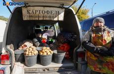 В Волгограде поднялись цены на картофель, помидоры и другие продукты