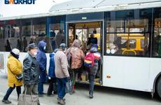 В Волжском с 1 ноября повысится стоимость проезда в общественном транспорте