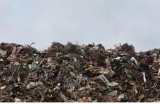 В Ленобласти убрано 726 незаконных свалок