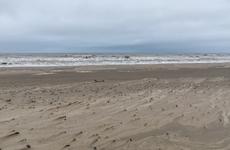 НАО подал заявку на участие в экологическом проекте Минприроды «Генеральная уборка»