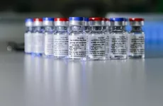 Российская компания "Генериум" разработала назальную форму вакцины "Спутник V"