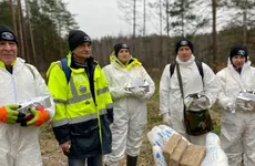 В лесах Ленобласти разложат вакцину против бешенства