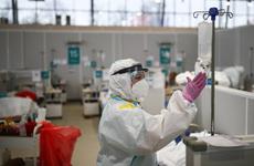 В России выявили пять случаев нового варианта коронавируса AY.4.2