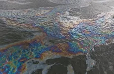 В водах Невы обнаружили 12-километровое нефтяное пятно