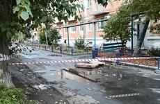 Подозреваемый в жестокой расправе над тремя девушками в Гае уже был судим за убийство