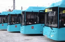 В Петербург доставили полсотни экологичных автобусов