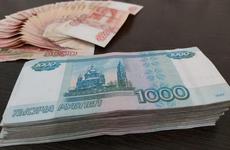 В КУИ призвали повысить земельный налог для всех дачников Волгодонска