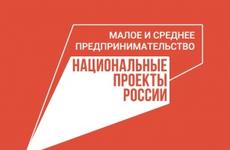 Социальные предприниматели Иркутской области могут получить субсидию до 500 тысяч рублей