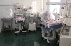 Будущих мам с коронавирусом принимает отделение в Тосно
