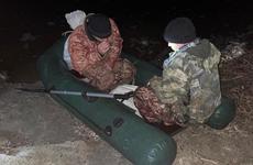 Двое жителей Волгоградской области ответят за отстрел двух косуль