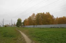 Петербургский Муринский парк оставлен в зоне зеленых насаждений