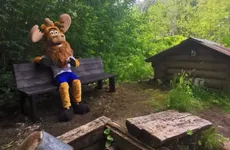 Родники Ленобласти благоустраивают в рамках экопроекта