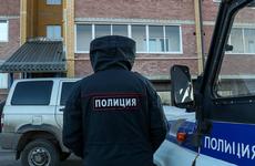 В Петербурге возбудили дело о превышении полномочий после силового задержания полицией 14-летнней школьницы.