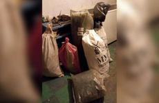 Наркодельцы из Волгоградской области приспособились выращивать коноплю на болоте