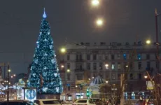 К Новому году петербургские улицы украсят 7 тысяч срезок ели