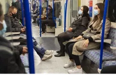 В Петербурге введение QR-кодов для кафе перенесли к Новому году
