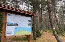 По южному берегу Финского залива до Соснового Бора протянулся новый туристский маршрут