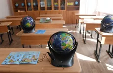 В Ленобласти из-за коронавируса на удаленку переведено 67 классов в 34 школах