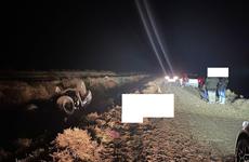 В Изобильном водитель такси сбил ребёнка на пешеходном переходе