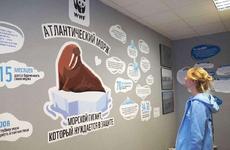 На память о Дне моржа-2021 в столице НАО осталась необычная экспозиция