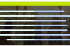 Туристическая платформа поможет в развитии индустрии гостеприимства