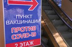 Антипрививочников массово отстранят от работы через суды в Ростовской области