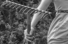 В Кочубеевском округе задержан молодой человек, подозреваемый в совершении особо тяжких преступлений в отношении несовершеннолетней