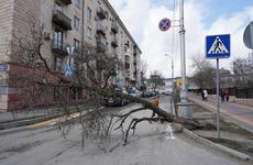 Последний день ноября принесет в Волгоградскую область дождь и тепло