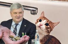 ФАС оценила перспективы повышения тарифов ЖКХ на 9% в Воронеже