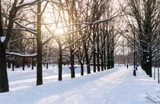 На Санкт-Петербург сегодня утром опустилась ледяная пыль