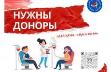 Центр крови Ленобласти ждет доноров в вечернее время