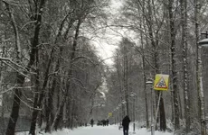 Участок Удельного парка пока не стали возвращаться в список ЗНОП