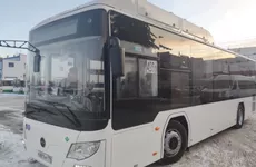 Стало известно, какой транспорт предпочитают жители Ленобласти