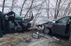68-летняя жительница Воронежа пострадала в ДТП с маршруткой