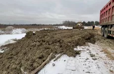 Госэконадзор Ленобласти обнаружил в Усть-Луге незаконное размещение грунтов